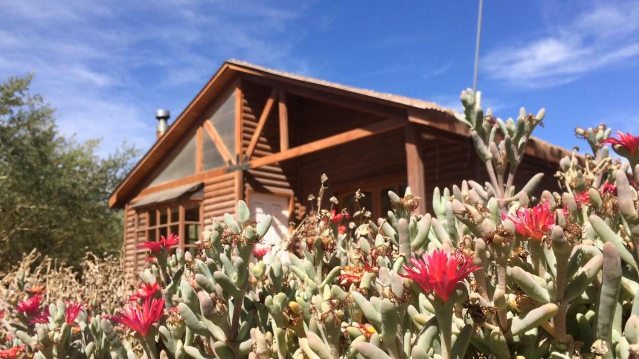 Cabanas Dona Juanita San Pedro de Atacama Eksteriør bilde